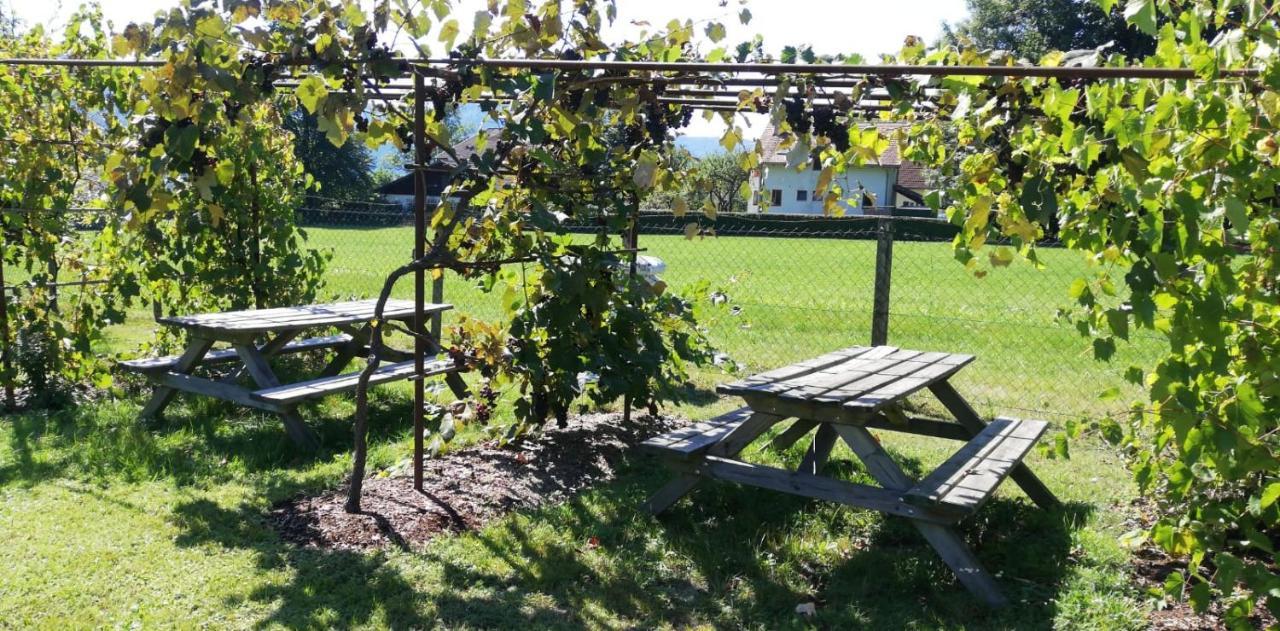 Seeidylle Winkler Bodensdorf Exteriér fotografie